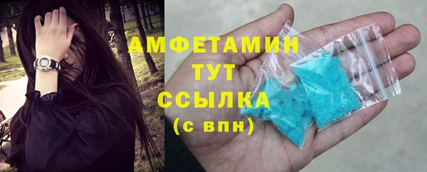 индика Гусев