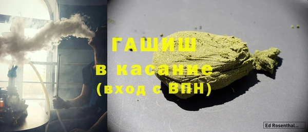 индика Гусев