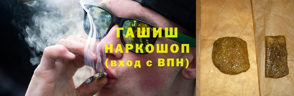индика Гусев