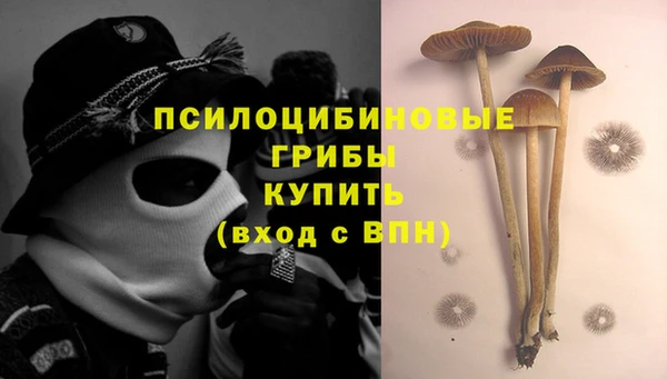 прущая мука Гусиноозёрск