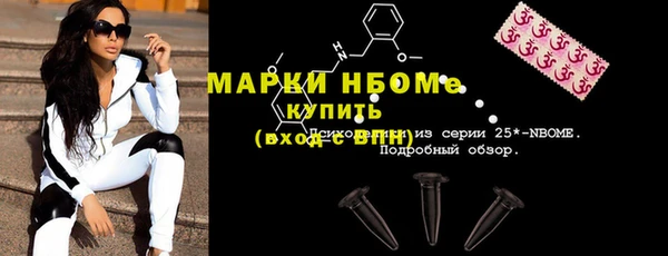 индика Гусев