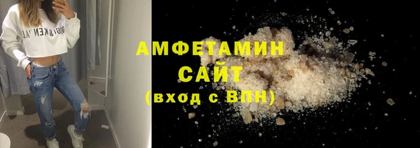 индика Гусев