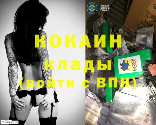 крисы Гусь-Хрустальный