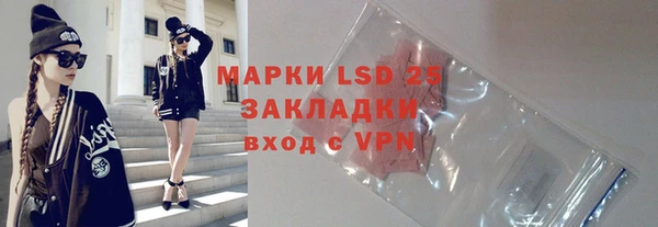 индика Гусев
