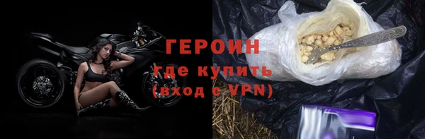 индика Гусев