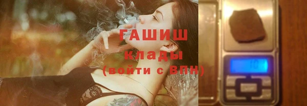 индика Гусев
