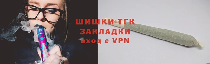 индика Гусев