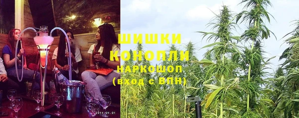 индика Гусев