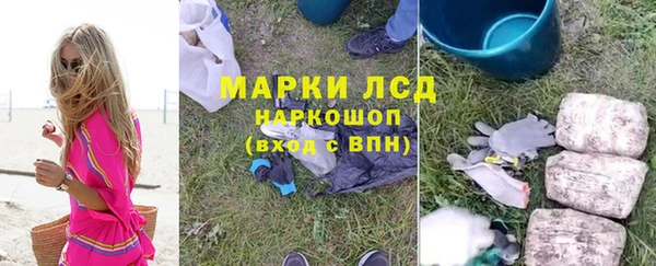 индика Гусев