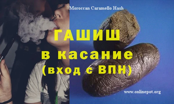 индика Гусев