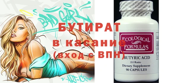 индика Гусев
