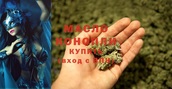 индика Гусев