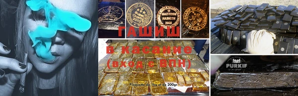 индика Гусев