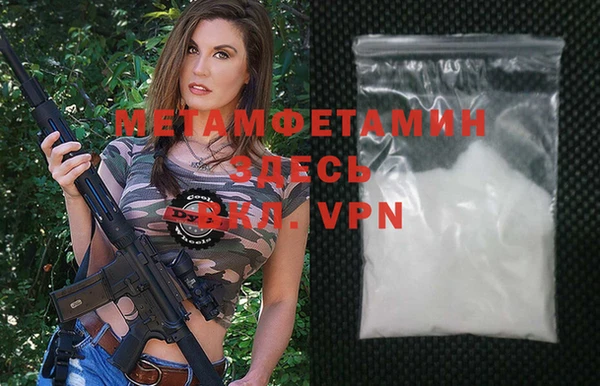индика Гусев
