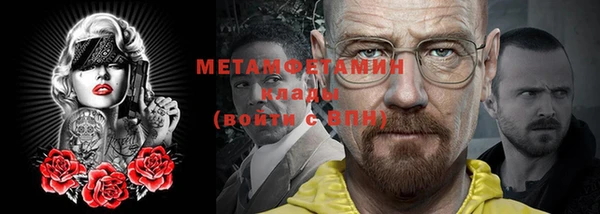 индика Гусев